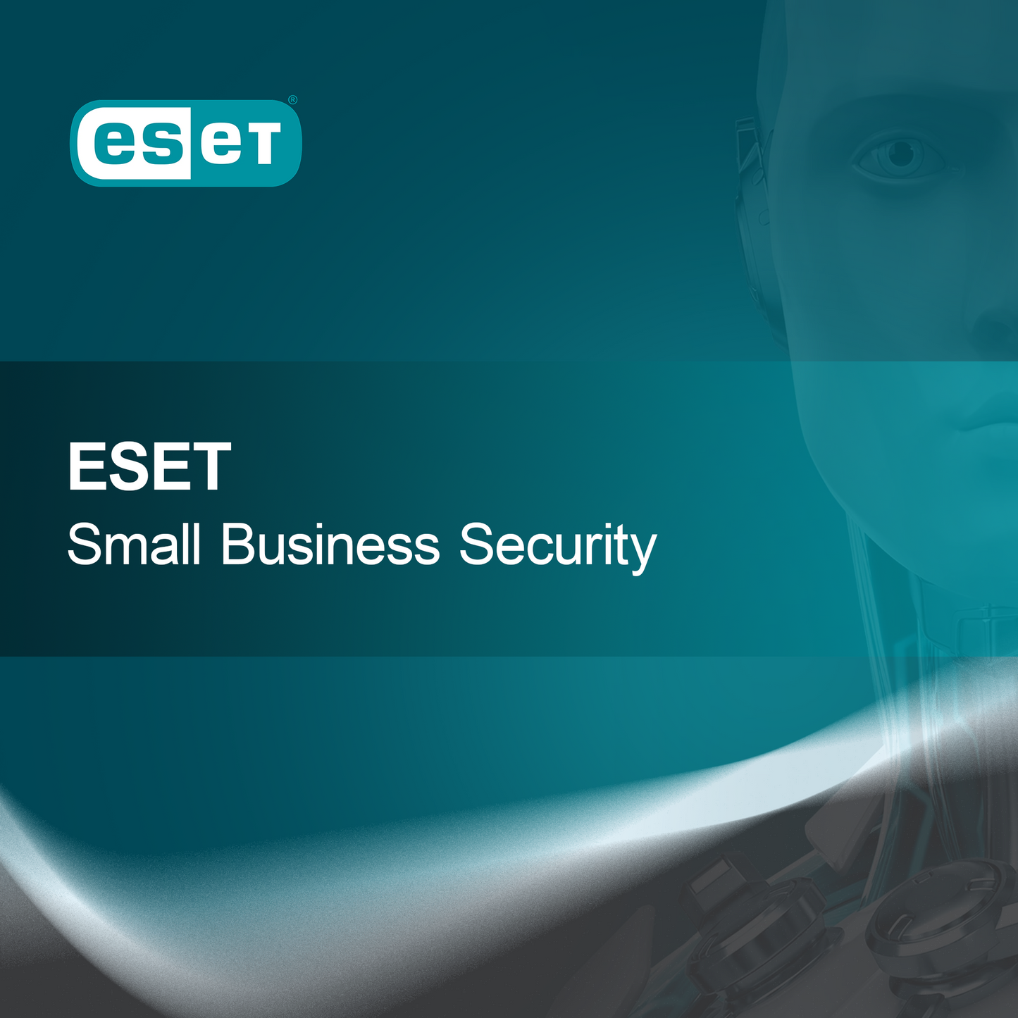 ESET Sicurezza per Piccole Imprese