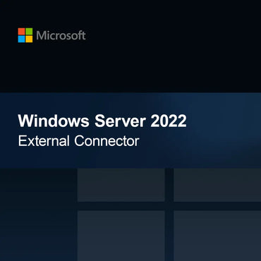 Windows Server 2022 Connettore Esterno