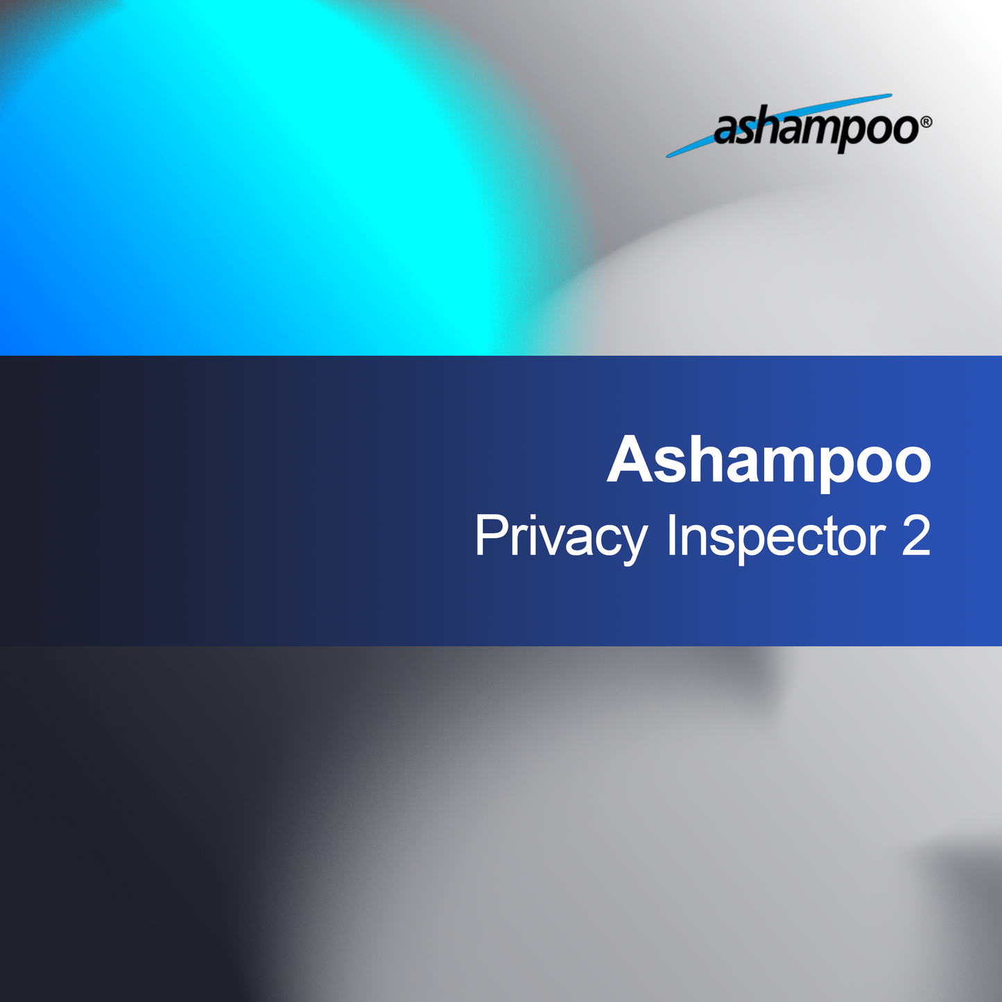 Ashampoo Ispettore della Privacy 2