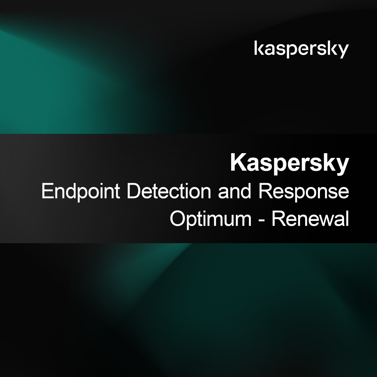 Kaspersky Endpoint Detection and Response Optimum - Rinnovo