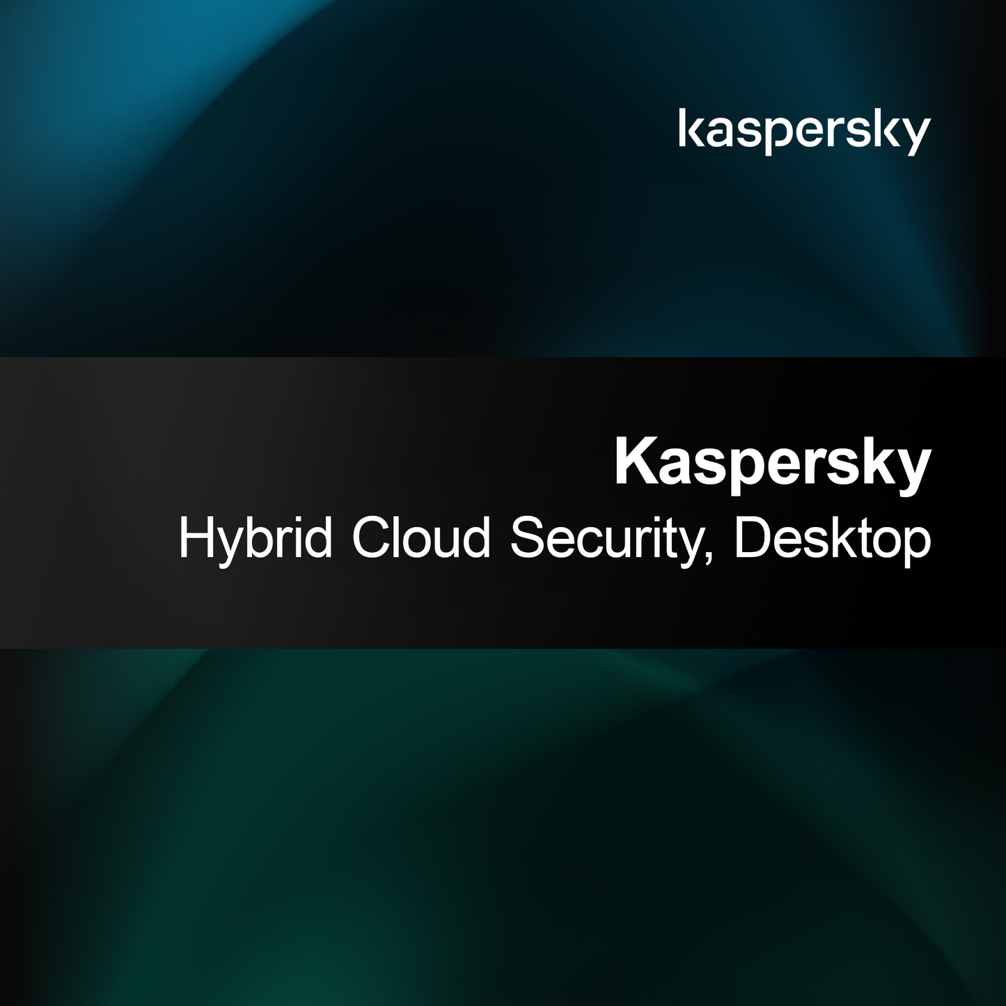 Kaspersky Sicurezza Cloud Ibrido, Desktop