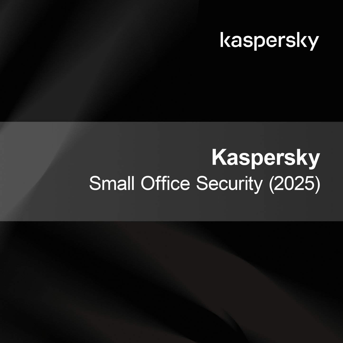 Kaspersky Sicurezza Piccolo Ufficio (2025)