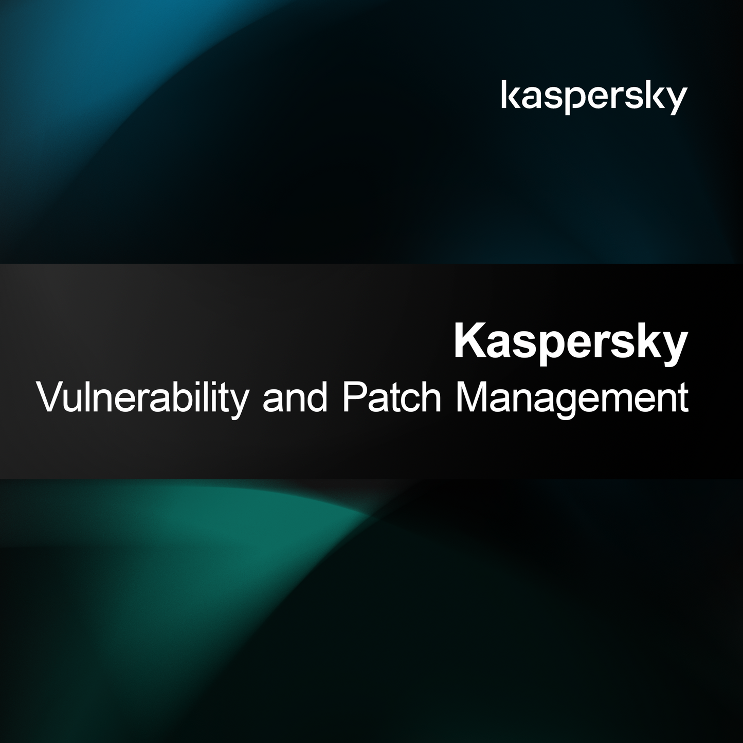 Kaspersky Vulnerability and Patch Management