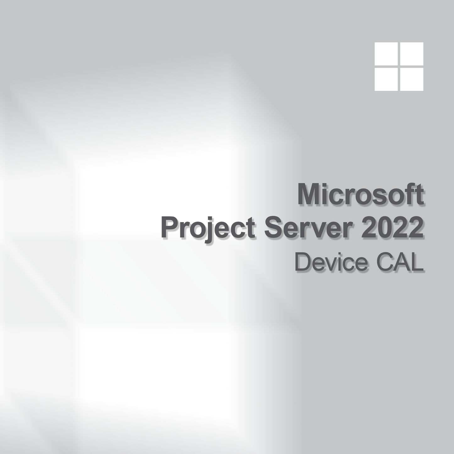 Microsoft Project Server 2022 Licenza Dispositivo CAL